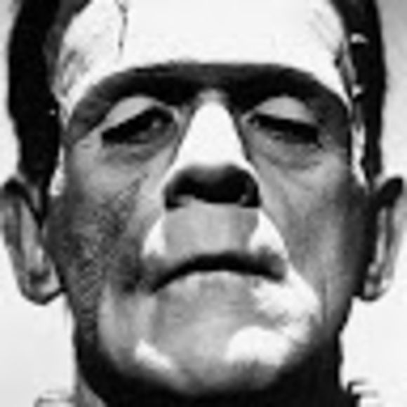 Meet your Posher, Jeremy - Picture 1 of 1